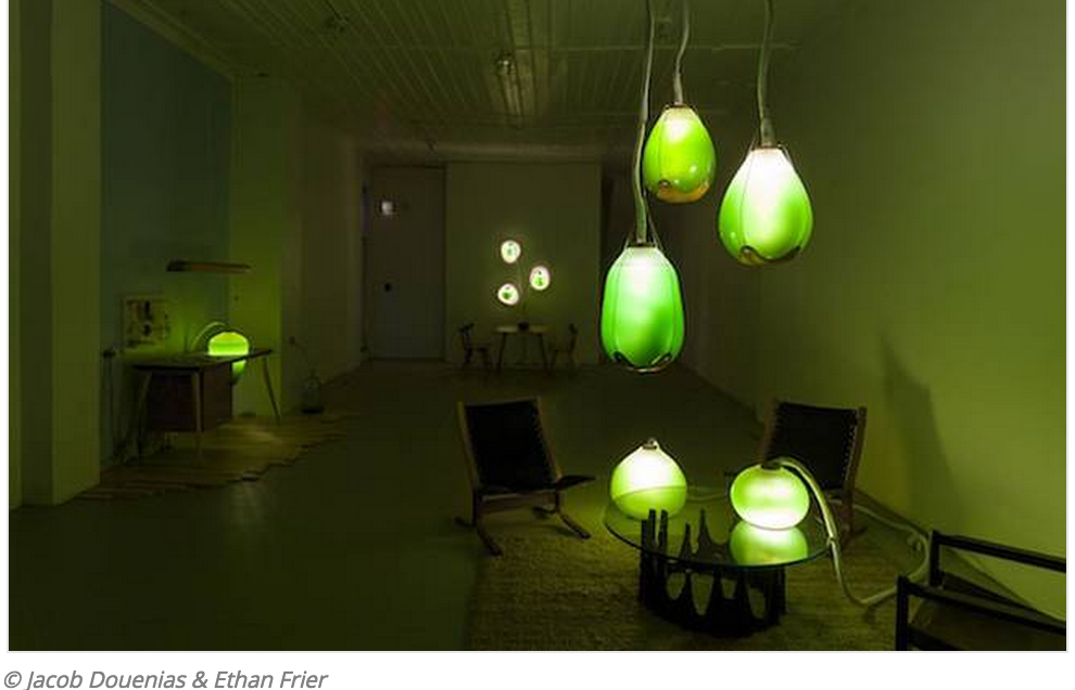 Living Things’ Edible Blue-Green Algae Lights Illuminate & Heat Building Simultaneously