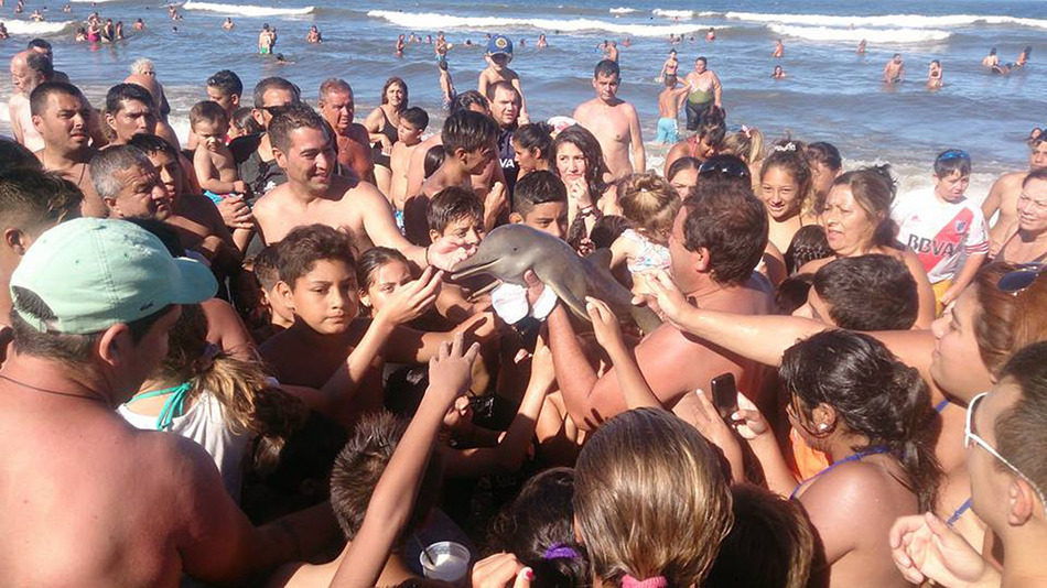 Video: Beachgoers Pass Around And Kill Endangered Baby Dolphin For Selfies