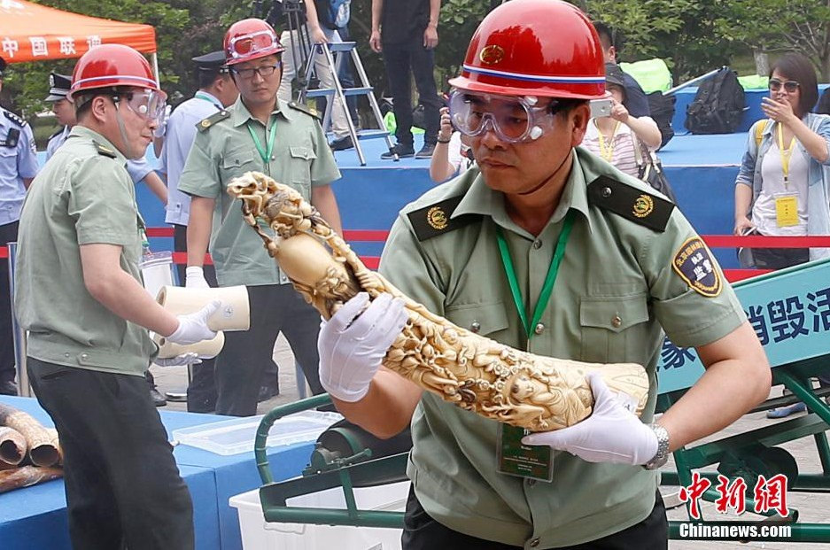 China Bans Its Ivory Trade in ‘Game Changing’ Move for Elephants