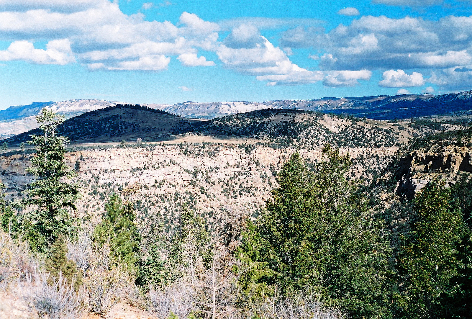 Interior Leases 1st of 14 U.S. Coal Strips Not Under Moratorium: 55M Tons in Utah Ntl. Forest