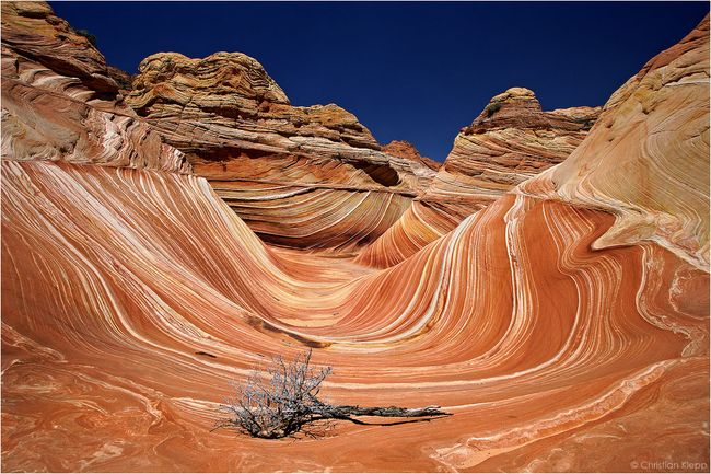 Zinke Tours Bears Ears, Grand Staircase-Escalante, Scolds Inquisitive Native Woman: ‘Be Nice!’