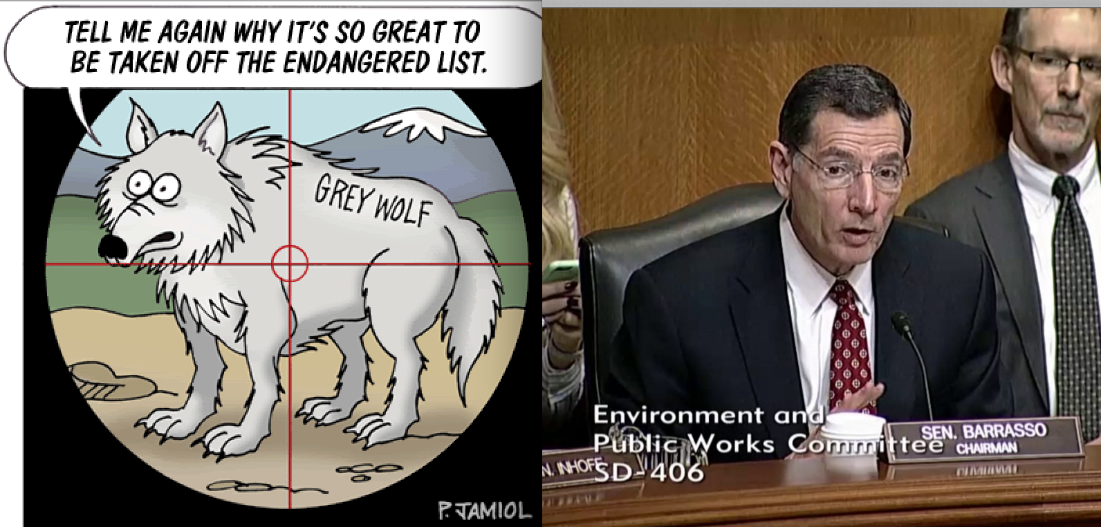 Senate Hearing: Green Groups Say Committee Moving to Gut the Endangered Species Act