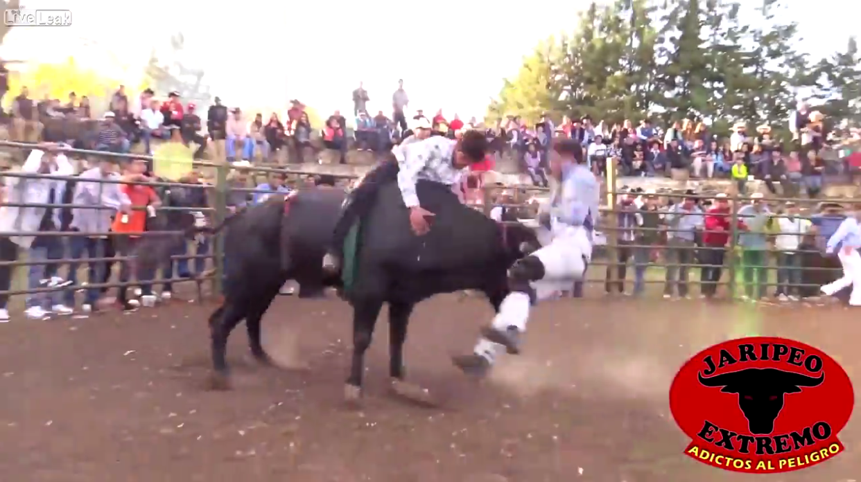 LiveLeak Video: Bull Takes Savage Revenge, Terrifies Arena, Mauls Rodeo Clown, Bull Riders