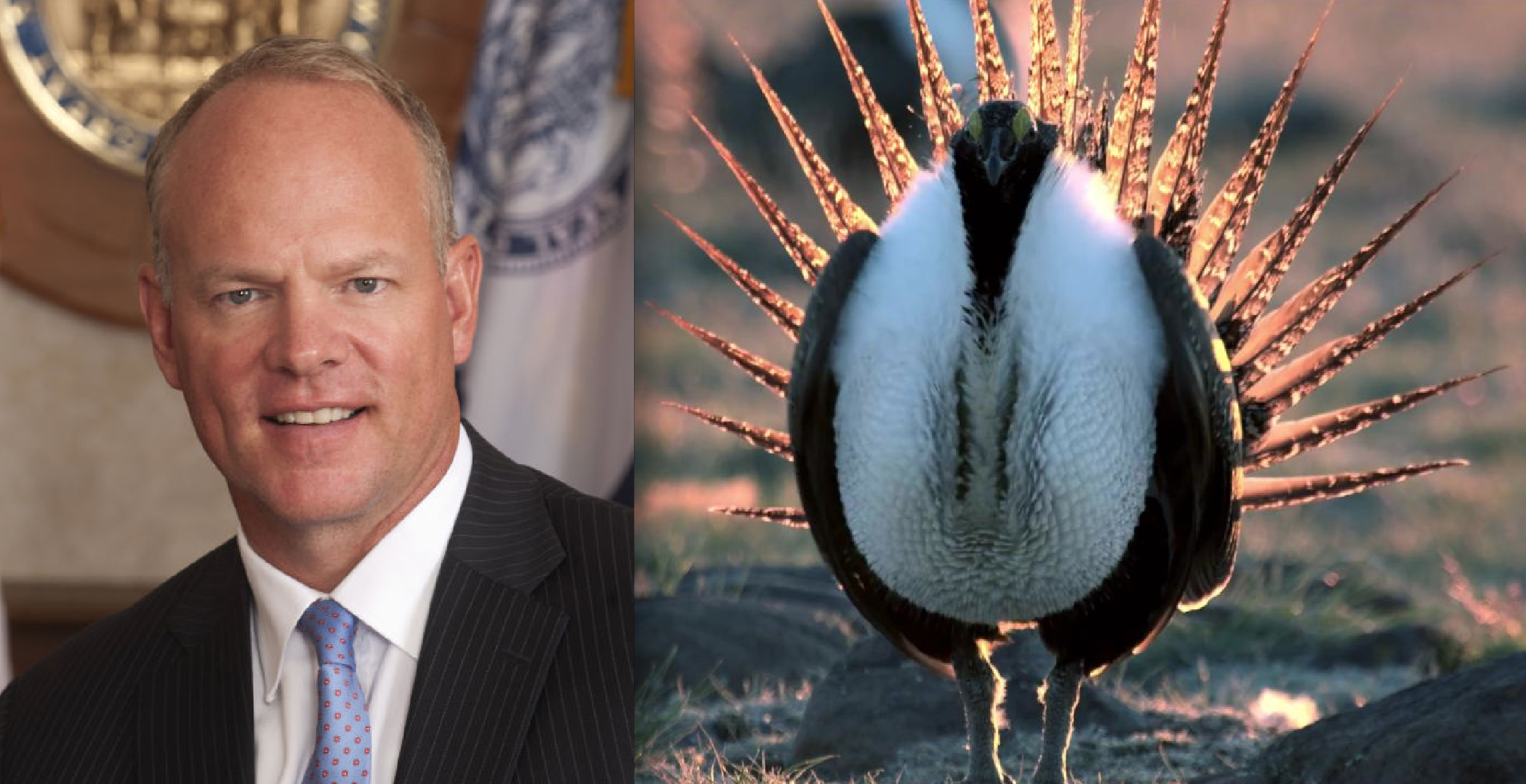 20 Western Governors Trying to Seize Power Over Endangered Species Act — Green Groups Say No Way