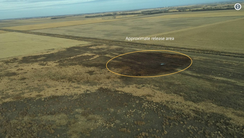 Keystone Pipeline Just Vomited 210,000 Gallons of Crude onto Land in South Dakota