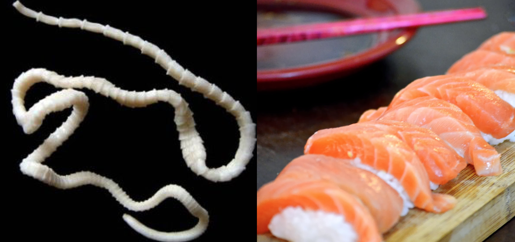 Fresno Man Develops 5-Ft. Tapeworm from Salmon Sashimi, CDC Issues Sushi Health Advisory