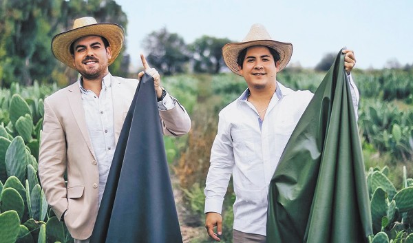 Cactus Fashion: Mexican Inventors Create Vegan Leather Alternative from Prickly Pear Plant