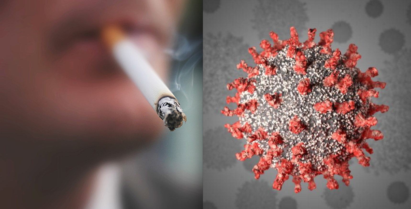 Tobacco Smokers Less Likely to be Hospitalized for COVID-19, Data Suggests — Go Figure