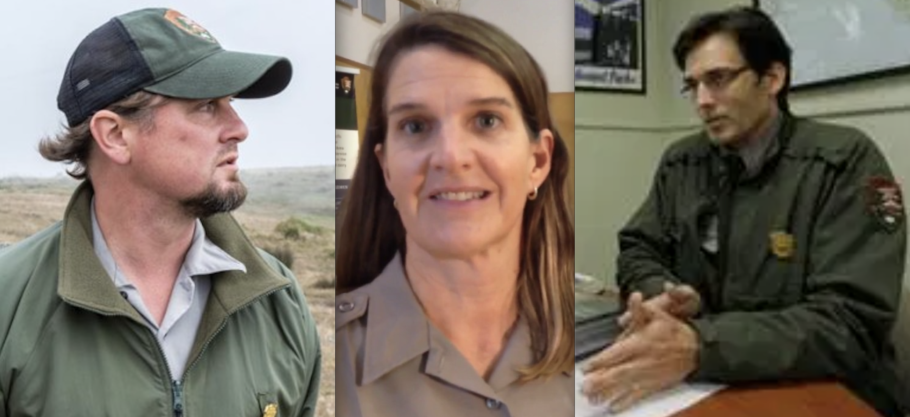 PETITION WATCH: Petition Calls for Firing of National Park Service Leaders over Tule Elk Deaths at Point Reyes