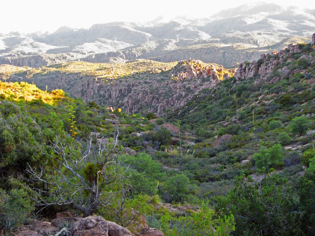 Arizonas Gop Senators Sell Off Sacred Apache Land To Rio Tinto With Off The Wall Ndaa Rider 9650