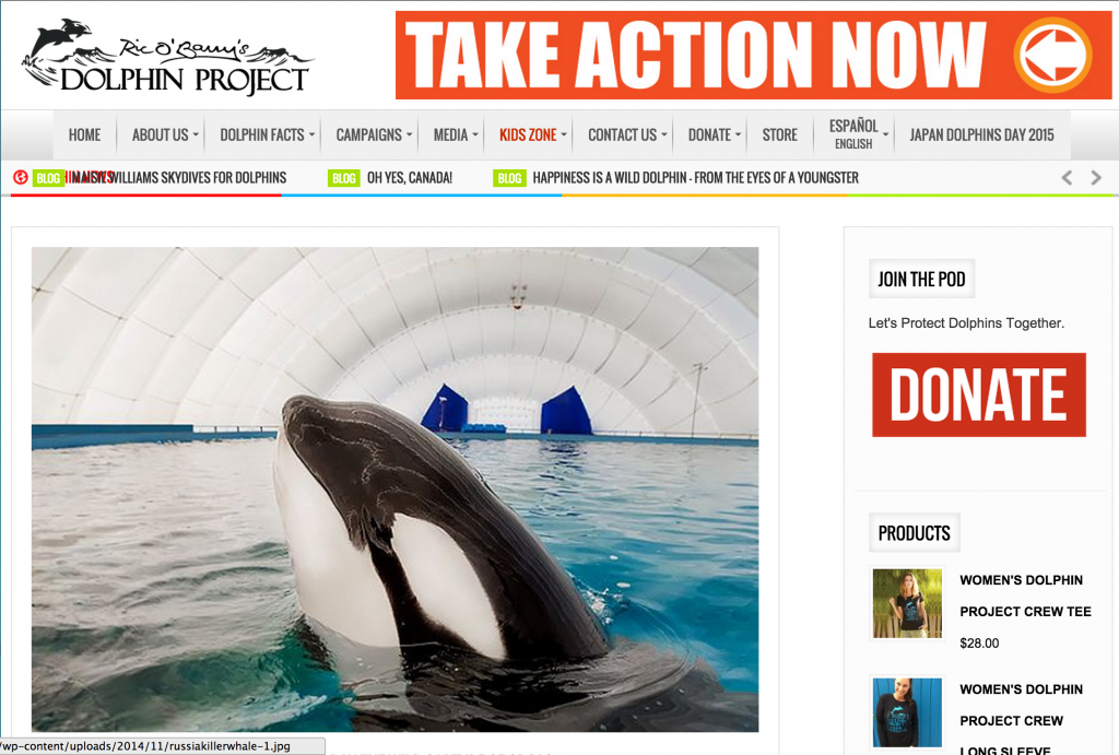 Orca Whale Petition -- Screenshot
