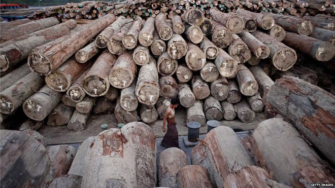 Raw Logs in Myanmar -- Photo: BBC