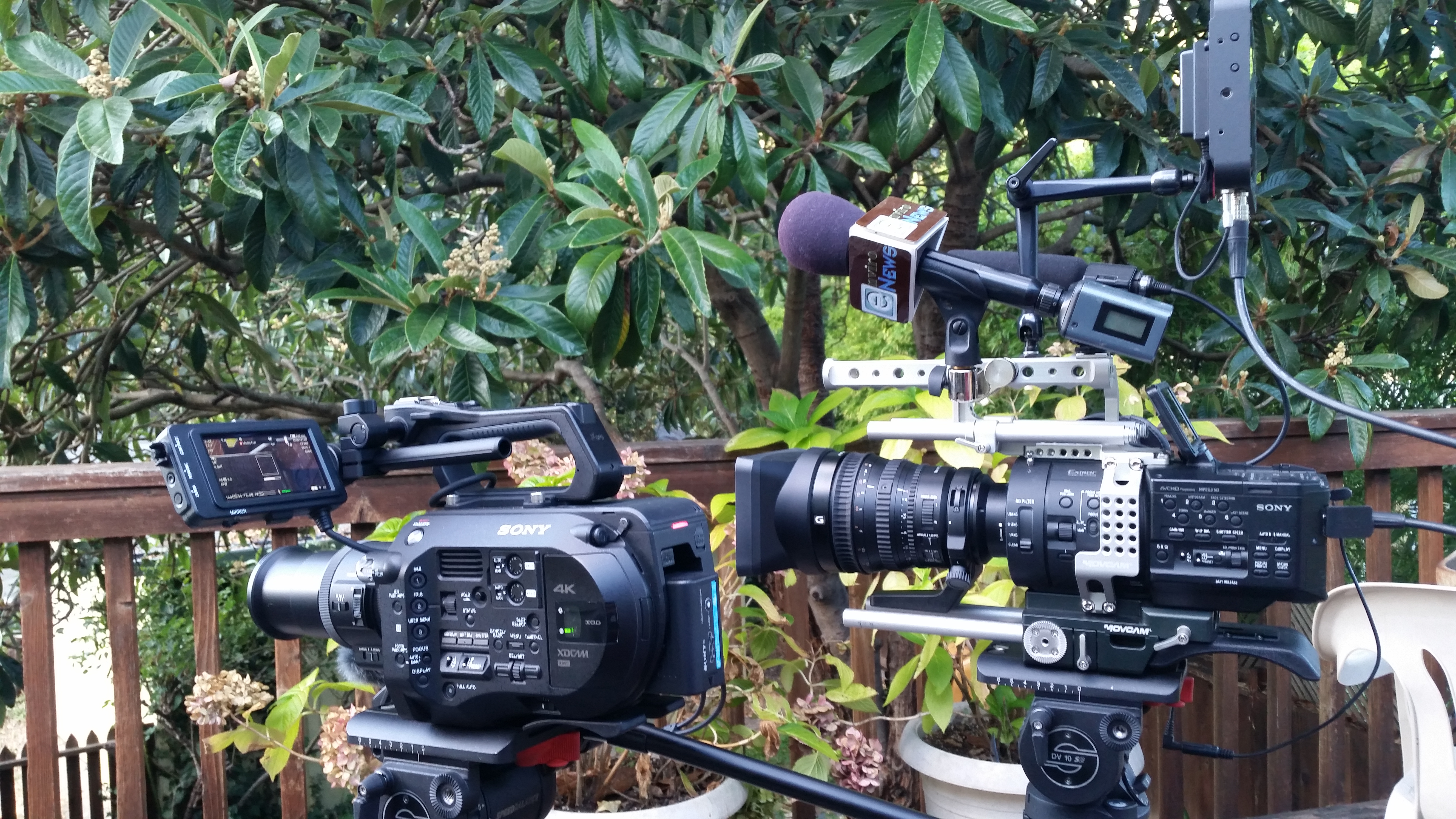 Switching Sony FS7/FS700 Lenses While Shooting Crowned Orb Weaver in 4K