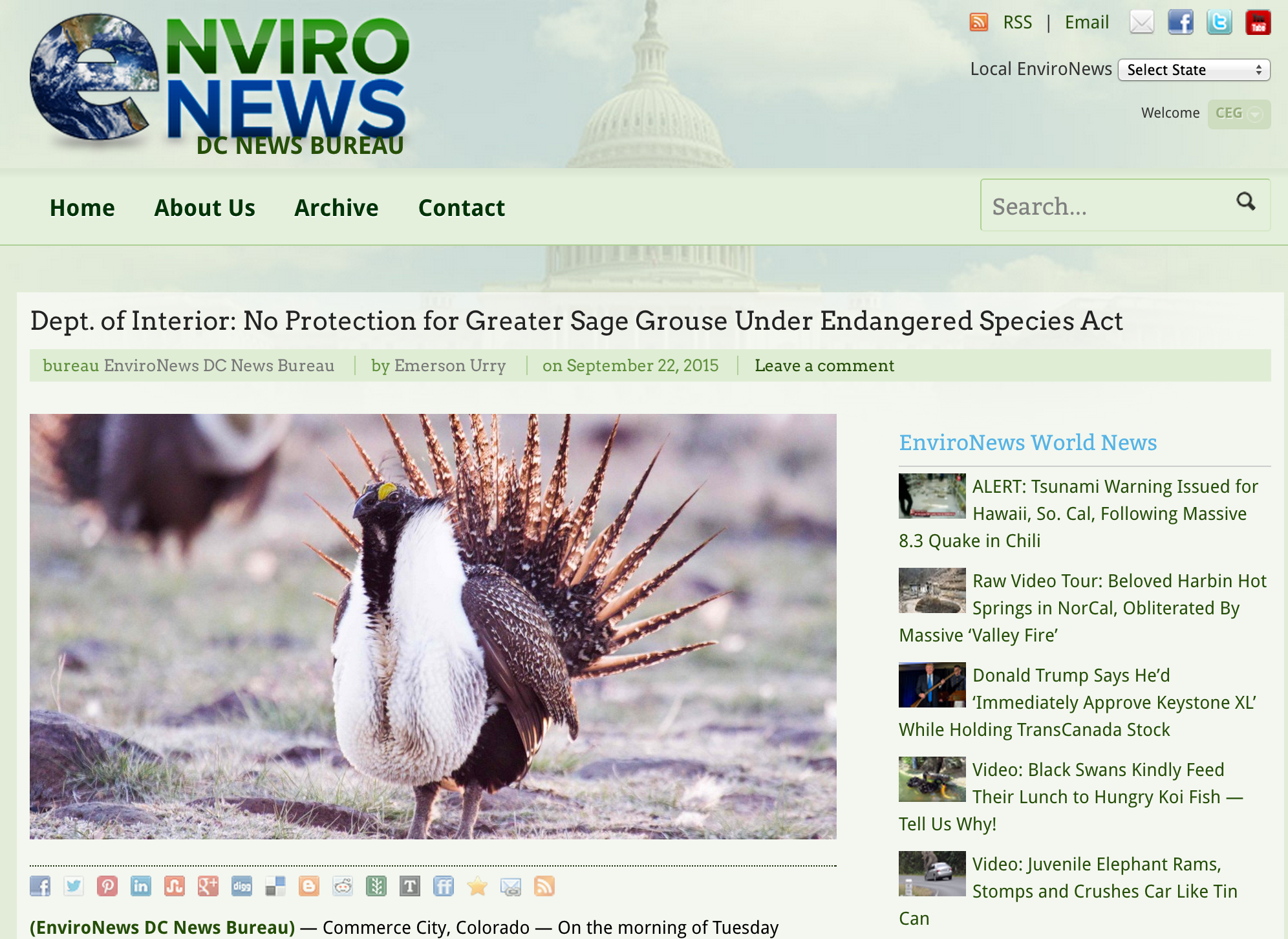 EnviroNews Headline: Dept. of Interior: No Protection for Greater Sage Grouse Under Endangered Species Act