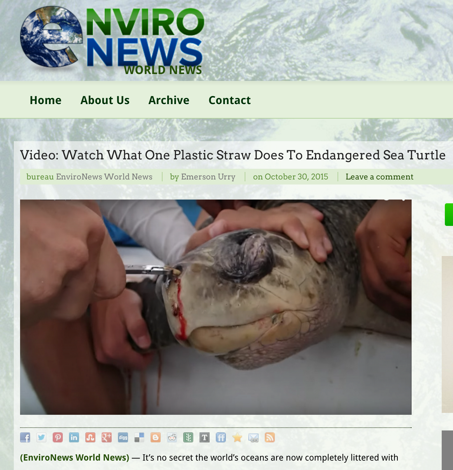 EnviroNews Headline: Watch What One Plastic Straw Does To Endangered Sea Turtle