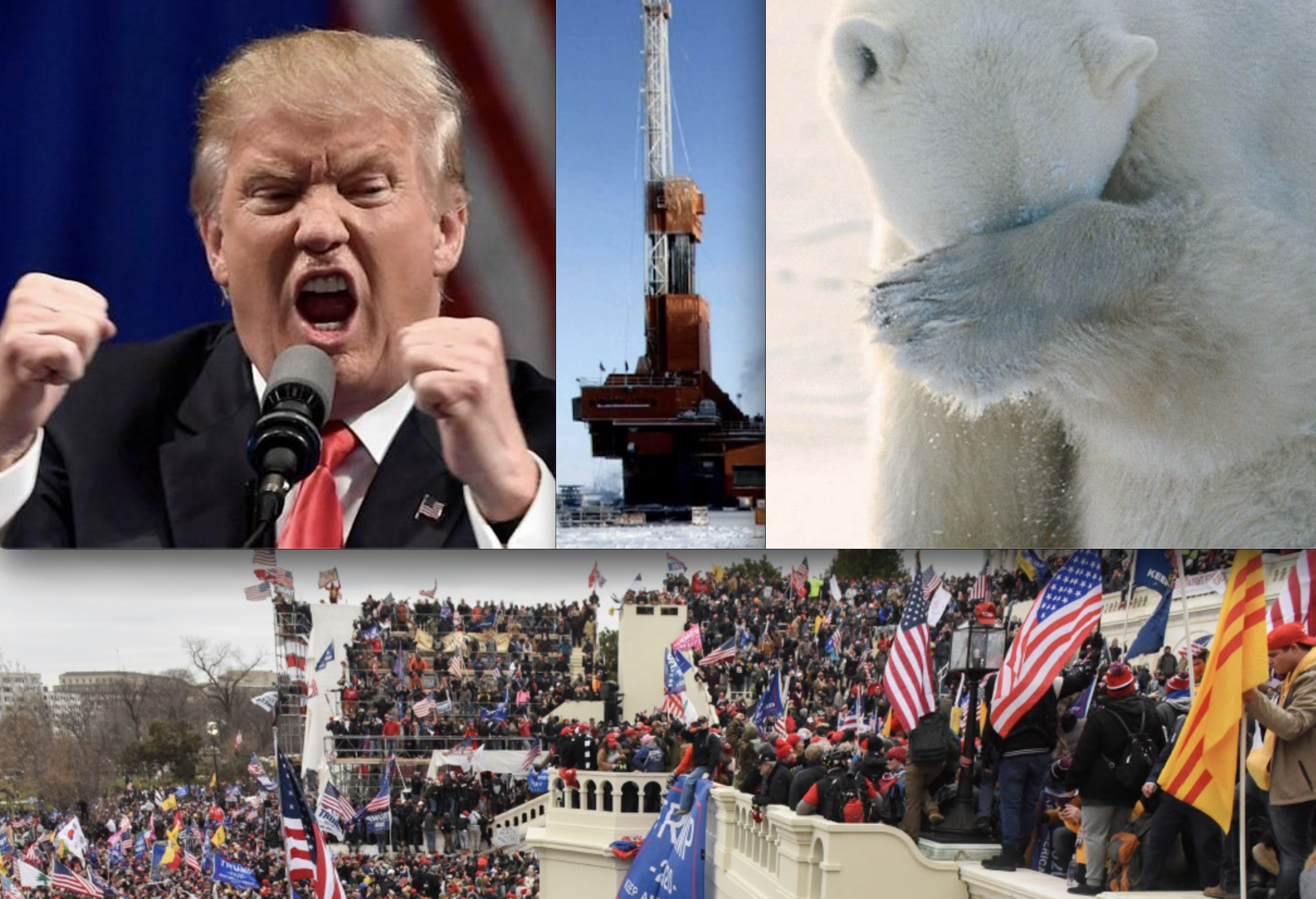 During Insurrection, Trump Admin Auctioned ANWR for Oil Drilling; State of Alaska was Biggest Bidder
